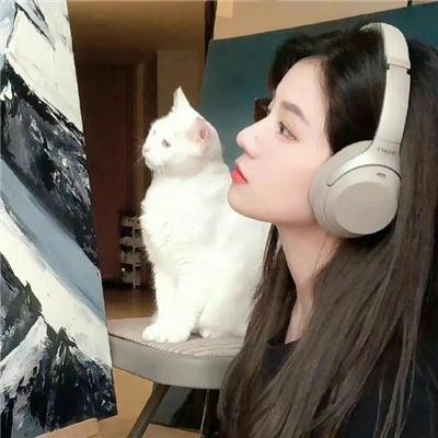 假如猫从世界上消失了